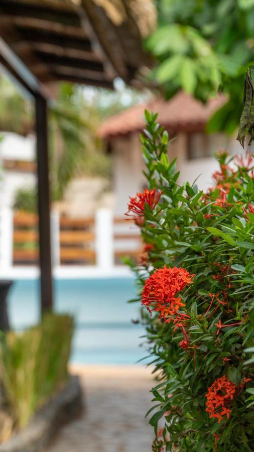 Hotel Luna Llena Ταμαρίντο Εξωτερικό φωτογραφία